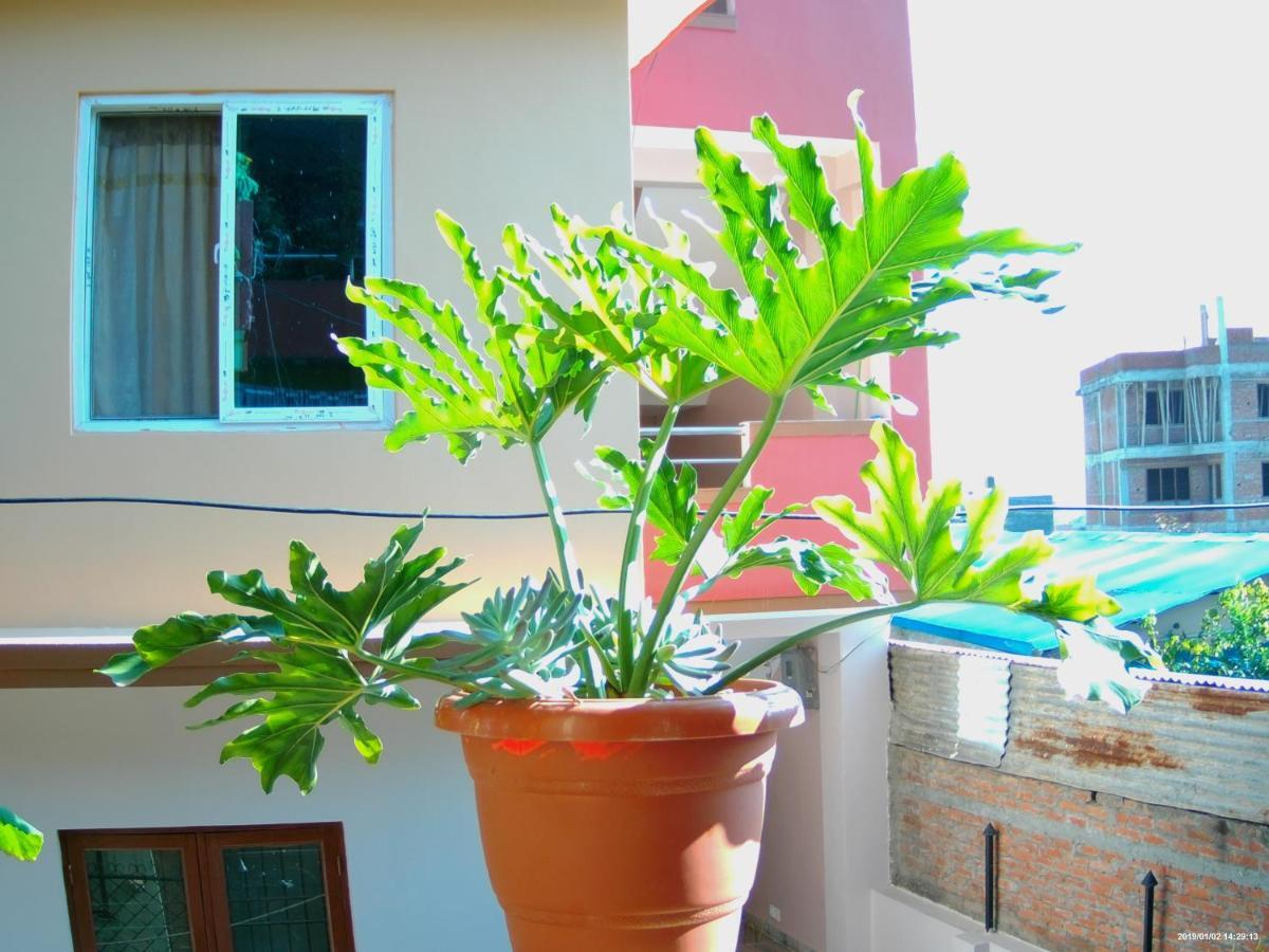 Everest Home Stay Apartment Lalitpur Dış mekan fotoğraf